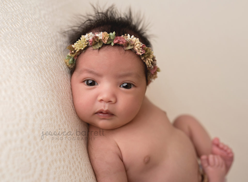 olivia's newborn session. newborn baby girl succulent headband pretty hair