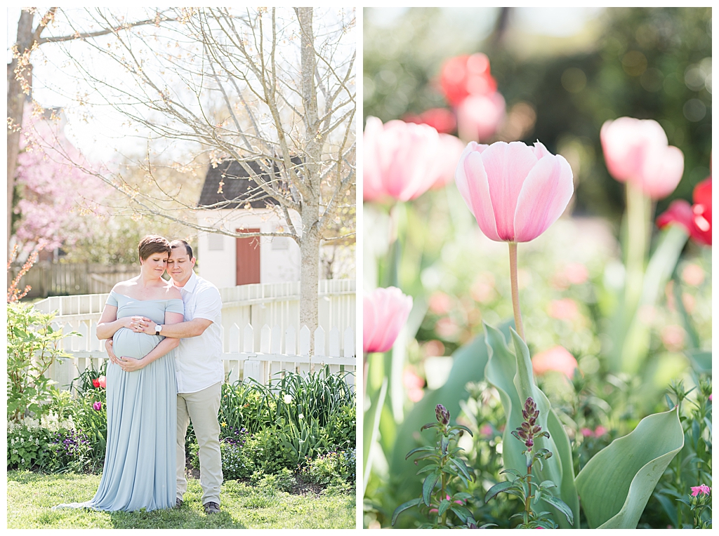 spring tulips colonial williamsburg maternity session jessica barrett photography 
