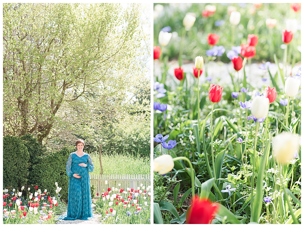 spring tulips colonial williamsburg maternity session jessica barrett photography 