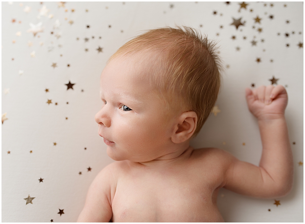 everett newborn williamsburg va newborn photographer jessica barrett photography
