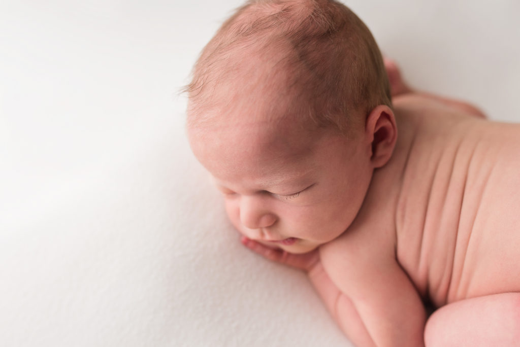 brock williamsburg va newborn photographer jessica barrett photography