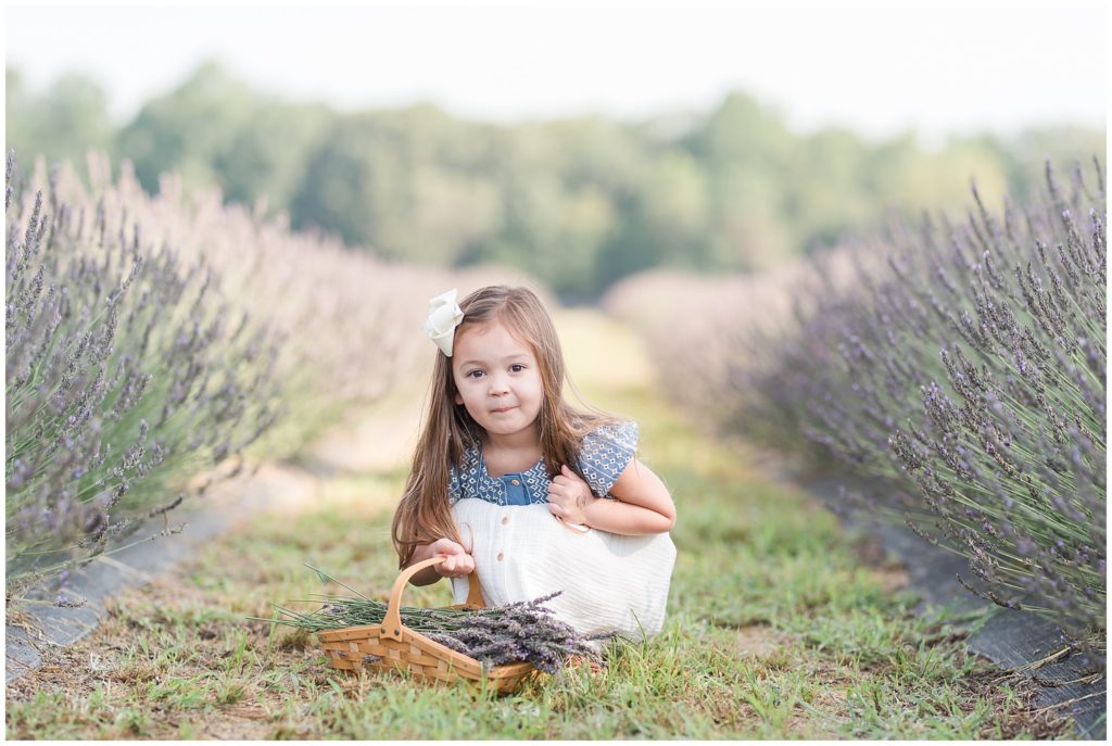 Williamsburg va photographer lavender farm jessica barrett photography